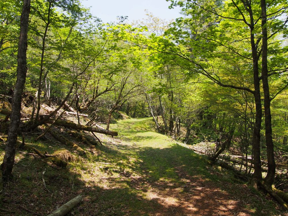 富士山登山 富士山登山