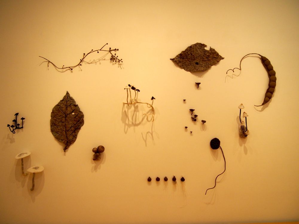 自然と美術の標本展 自然と美術の標本展