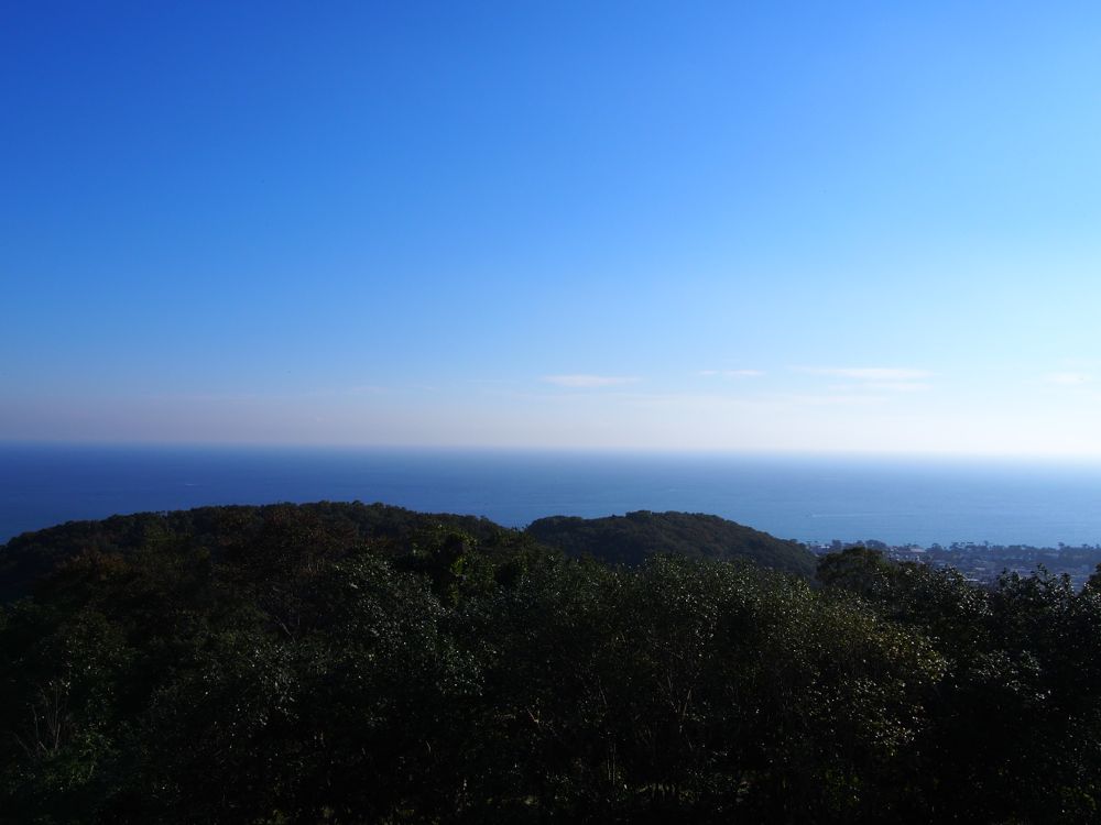 海 海