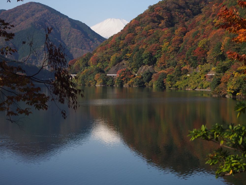 丹沢湖富士山 丹沢湖富士山
