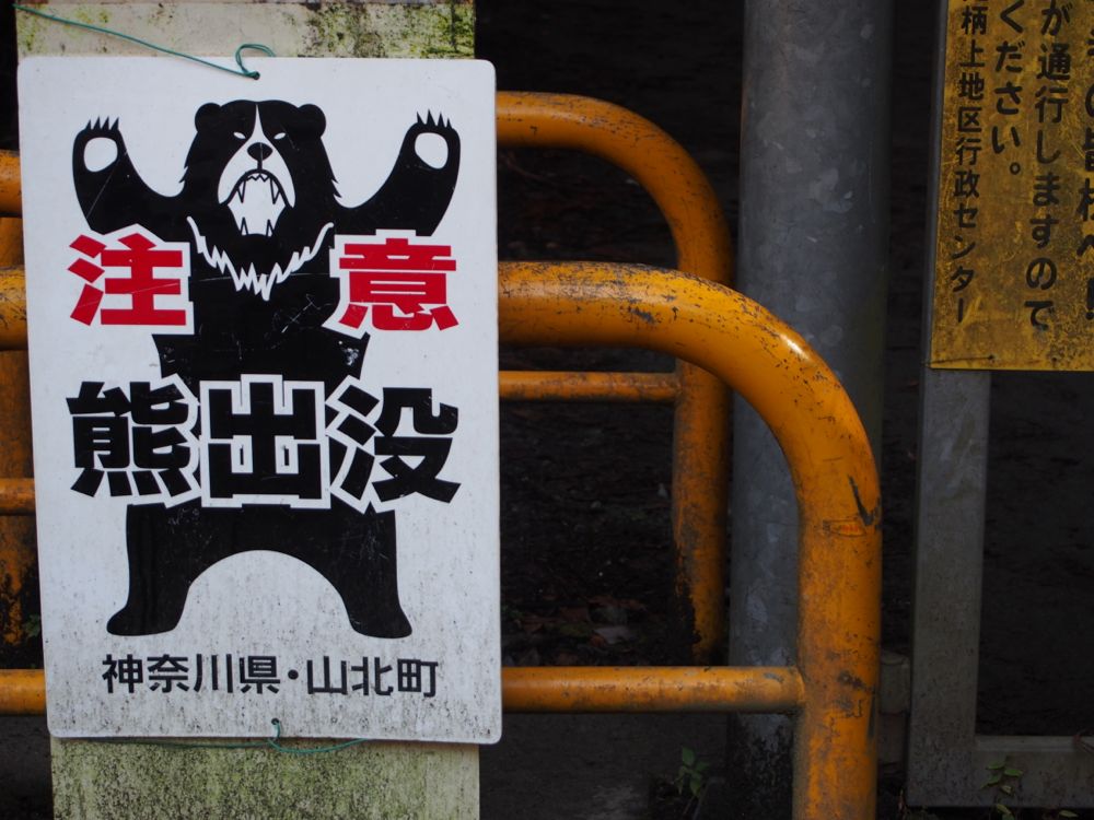 熊出没注意 熊出没注意