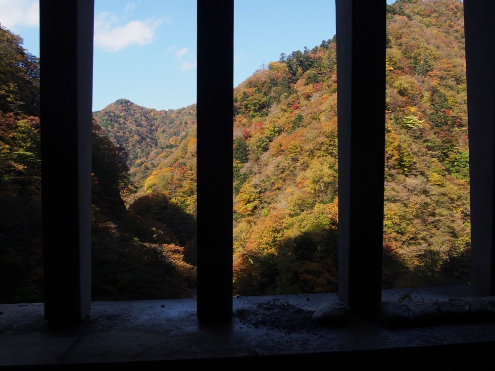 紅葉 紅葉
