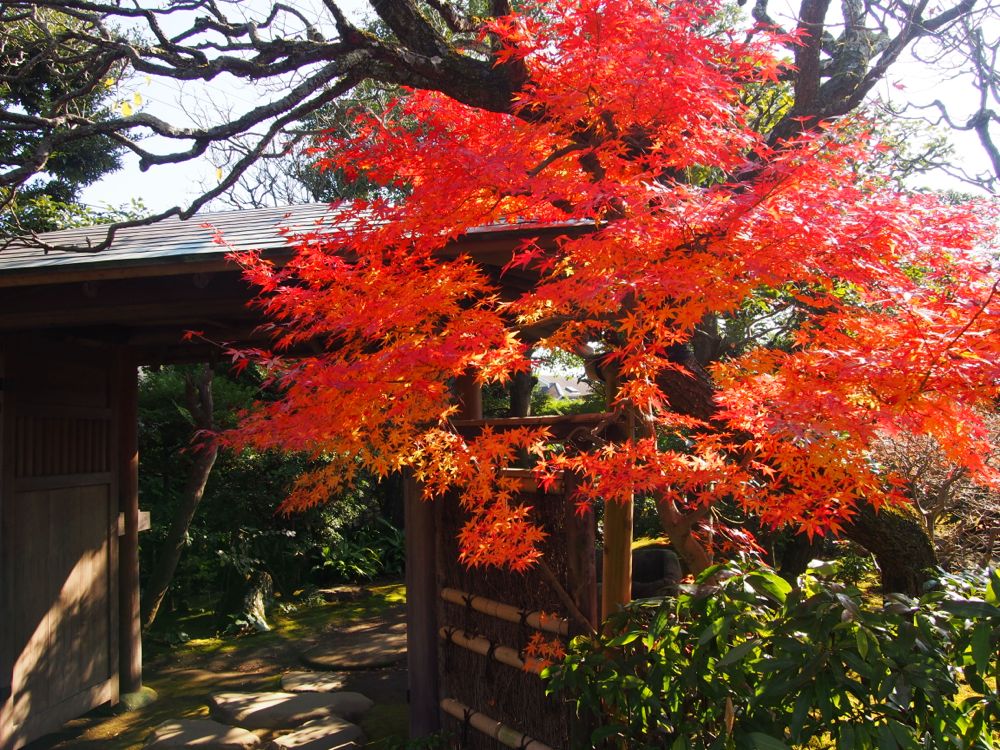 小田原板橋 小田原板橋