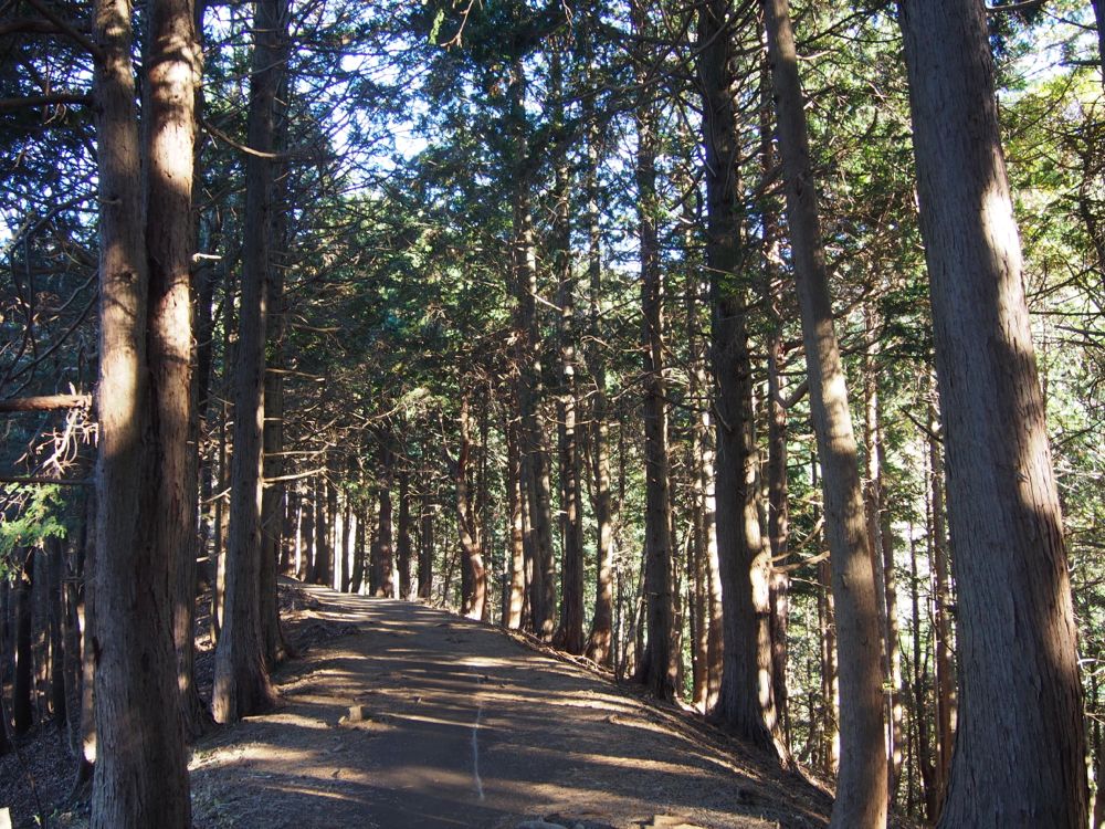 丹沢山 丹沢山