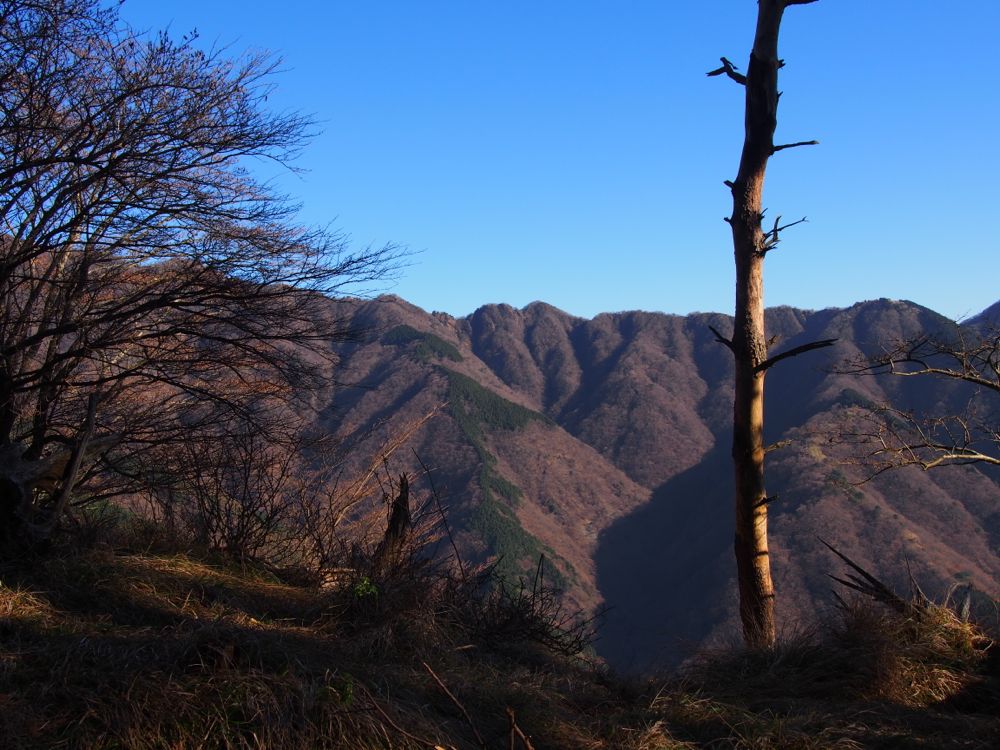 バカ尾根 バカ尾根