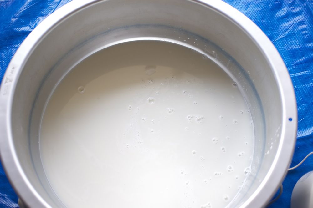 大豆のごじる 大豆のごじる