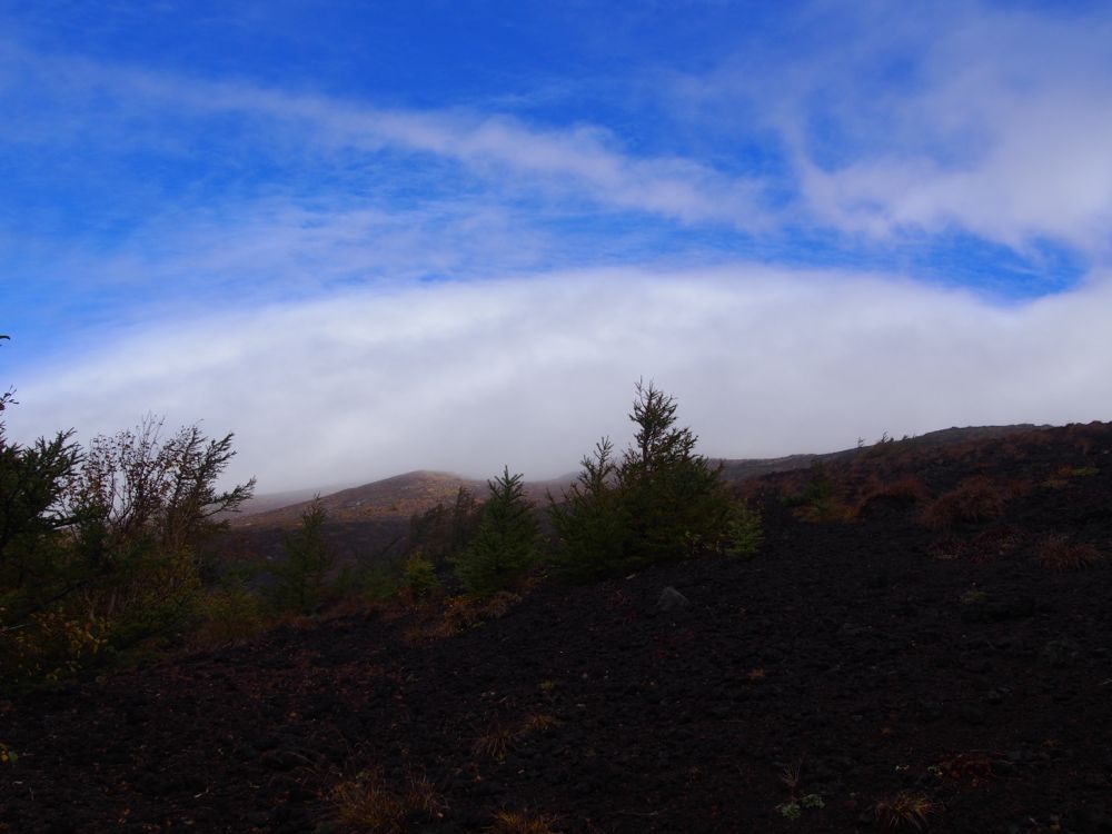 富士山5合目紅葉